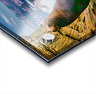 SEAL LIONS  Acrylic print