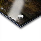  National Forest Tranquil Reflections Acrylic print