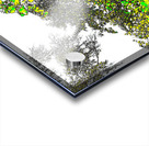 Abstract Vivid Forest Canopy                                                                                                                      Acrylic print