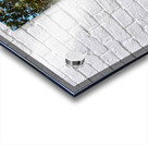  Scottish Highlands Autumnal Sunny Forest Trail                                                                                                                      Acrylic print