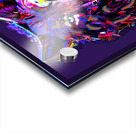 008  - The RABID Wolf : Lucan Acrylic print