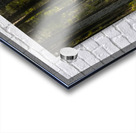 Sunlight Filtering Through Forest Trees Acrylic print