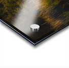 National Forest in Autumn Acrylic print