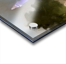 The Washington Monument  Acrylic print