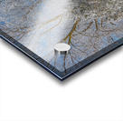 Un hiver glaciale Acrylic print