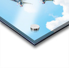 Spectacle aerien Acrylic print