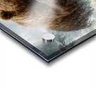 Hunter of the Rapids   GIA2501 06238 OIL Acrylic print