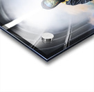 DSC08905 Acrylic print