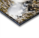 Seal pup and mom on rocks Acrylic print