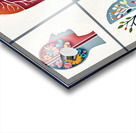 Medical Illustration of Brain and Heart – Clinic Wall Art Acrylic print