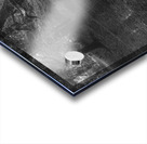 Quiet Forest Reflections Acrylic print