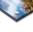 Golden Hour Acrylic print