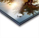 Enchanted Tree at Sunset Acrylic print