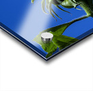 Sunflower against blue cloudless sky Acrylic print