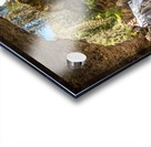 Banff Hidden Treasure Acrylic print