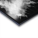 Wild Hair BW Acrylic print