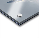 Blue Angel  5 Solo Plane in Vertical Ascent Acrylic print