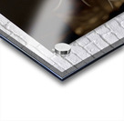 Oreo Resize 3000 Resize Acrylic print