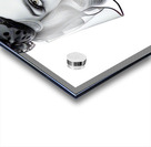 Red Lips II Acrylic print