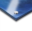 Happy tuxedo cat Acrylic print