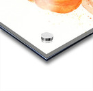 Orange pumpkin watercolor study Acrylic print