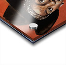 IMG 3237 Acrylic print