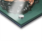 IMG 4253 Acrylic print