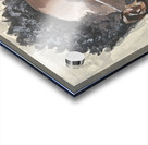 IMG 3054 Acrylic print