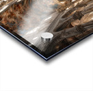 BASILICA  Acrylic print