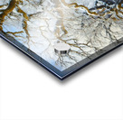 The Mighty Oak Acrylic print