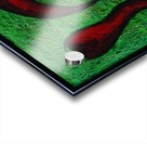 Lucky Spicy Group Acrylic print