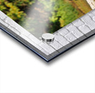 0C5A2812 Wood Ducks Acrylic print