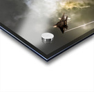 2025 Oceana F-22 Flare Drop Acrylic print