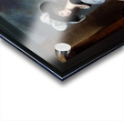 Charlotte Lady Milnes by George Romney Old Masters Fine Art Prints Acrylic print