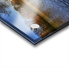 wall art Acrylic print