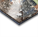 1959 Auburn Tigers Football Photo Art Acrylic print