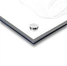 Mr. Elephant Acrylic print