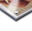 Engines Are Built Slowly — Muscular Anatomy Motivation Poster Acrylic print