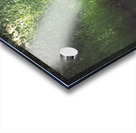 DSC 1235 Acrylic print