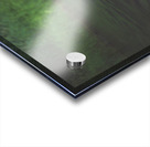 DSC 1106 Acrylic print