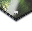 DSC 1187 Acrylic print