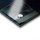 35316A64 5505 40B9 B50A BC840B683946 Acrylic print