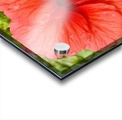 Raindrops Acrylic print