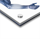 Cobalt Sprint — Muscular Anatomy in Motion Acrylic print