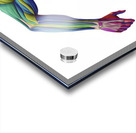 Spectrum Runner — Color-Coded Muscle Anatomy in Motion Acrylic print