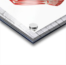 Built to Move — The Anatomy of Speed in Motion Acrylic print