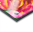 Beautiful rose watercolor painting Acrylic print