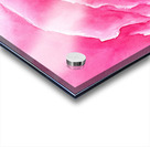 Pink Rose close up watercolor painting  Acrylic print