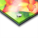 Velvety peachy rose watercolor painting Acrylic print