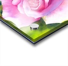 New Years Rose watercolor painting  Acrylic print